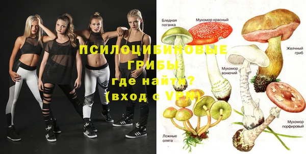 ECSTASY Абдулино
