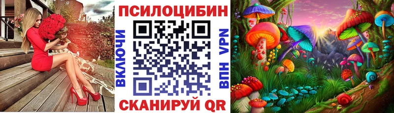 Галлюциногенные грибы Psilocybe  Оханск 